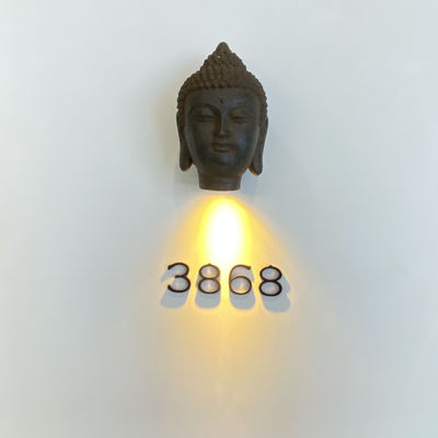 빛을 내는 스테인레스 강 304 금속 어드레스 사인은 탑재를 비틉니다